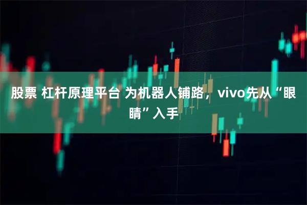 股票 杠杆原理平台 为机器人铺路，vivo先从“眼睛”入手