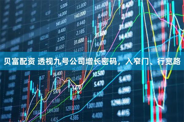 贝富配资 透视九号公司增长密码，入窄门、行宽路