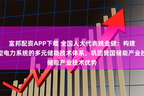 富邦配资APP下载 全国人大代表姚金健：构建适配新型电力系统的多元储能技术体系，巩固我国储能产业技术优势